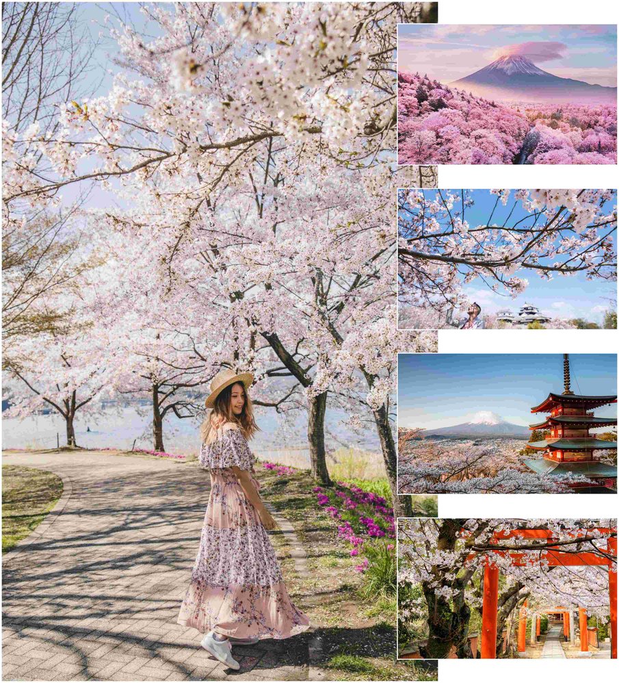 Mùa Xuân Nhật Bản