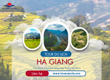 Tour Du Lịch Hà Giang: Hòa Mình Vào Cánh Đồng Hoa Tam Giác Mạch