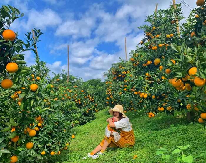 KDL vườn trái cây - Mỹ Khánh