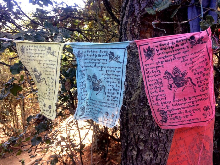 Những lá cờ cầu nguyện dọc theo Tiger's Nest Trek