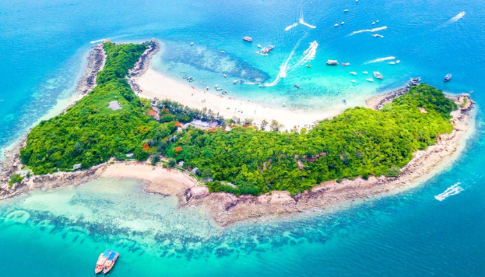 Đảo Coral