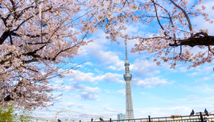 Tháp truyền hình Tokyo Skytree