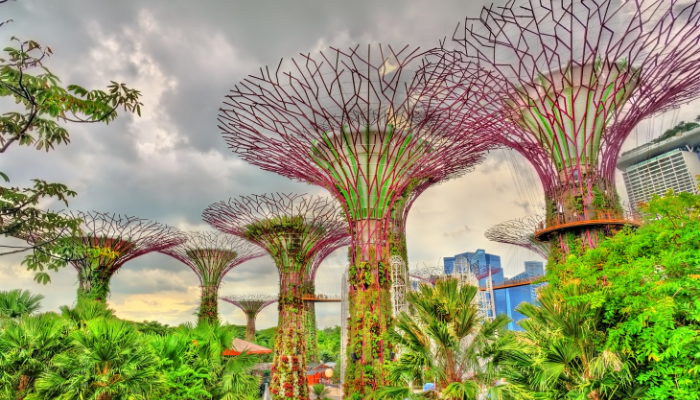 Gardens by the Bay