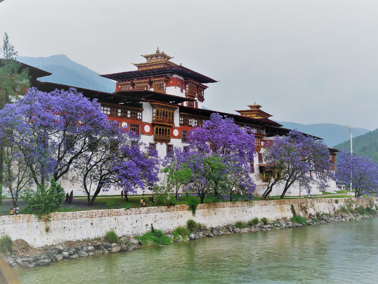 Punakha Dzong – Tuyệt Tác Kiến Trúc Giữa Lòng Bhutan