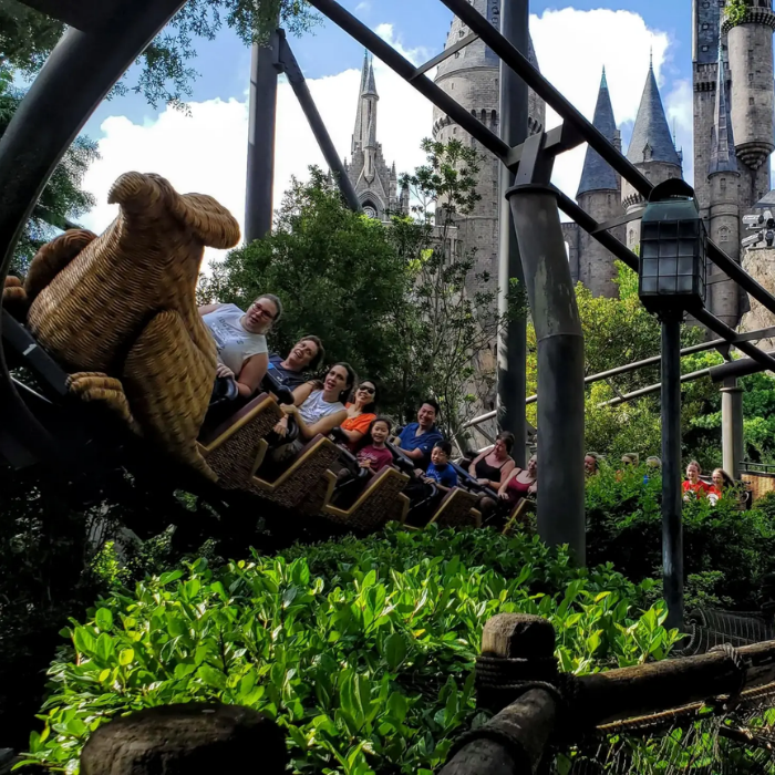 Flight of the Hippogriff