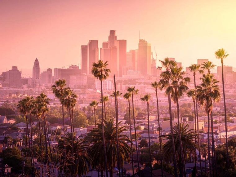 Los Angeles: Giữa Mộng Mơ Điện Ảnh và Thực Tế Trần Trụi