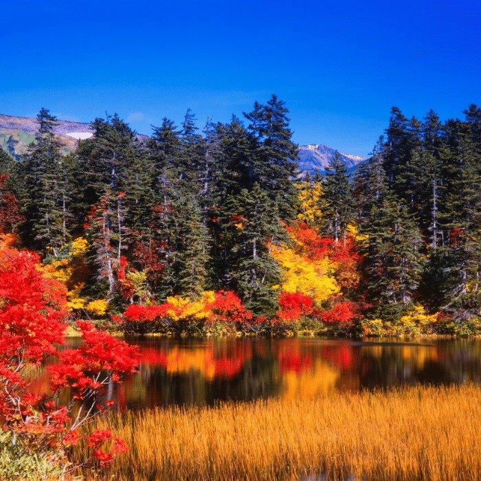 Công viên Quốc gia Daisetsuzan (Hokkaido)