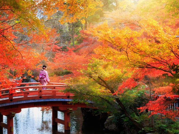 10 địa điểm ngắm lá đỏ mùa thu đẹp nhất ở Nhật Bản 2025