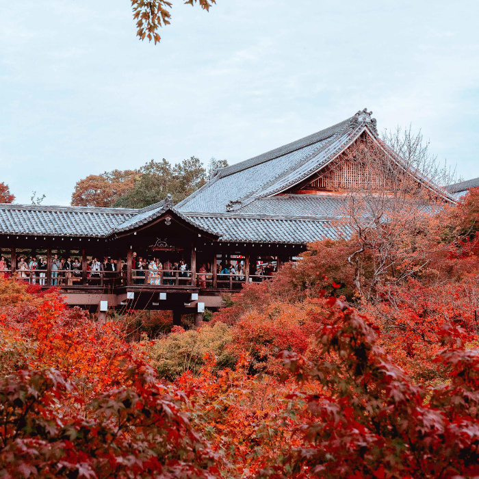 Đền Tofukuji (Kyoto)