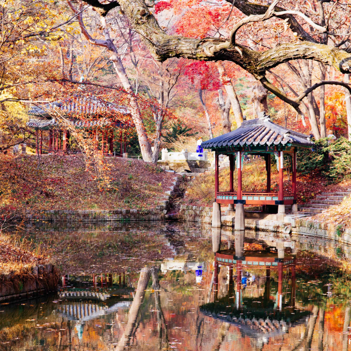 Cung điện Changdeokgung và Khu vườn Bí mật