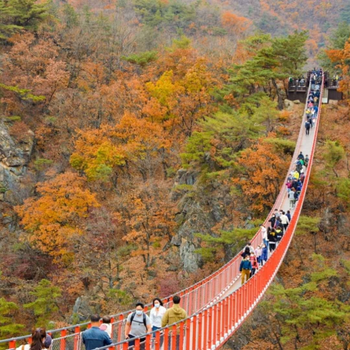 Các cây cầu ở Seoul