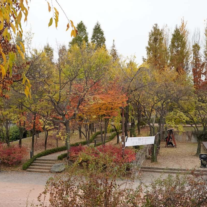 Công viên Seonyudo