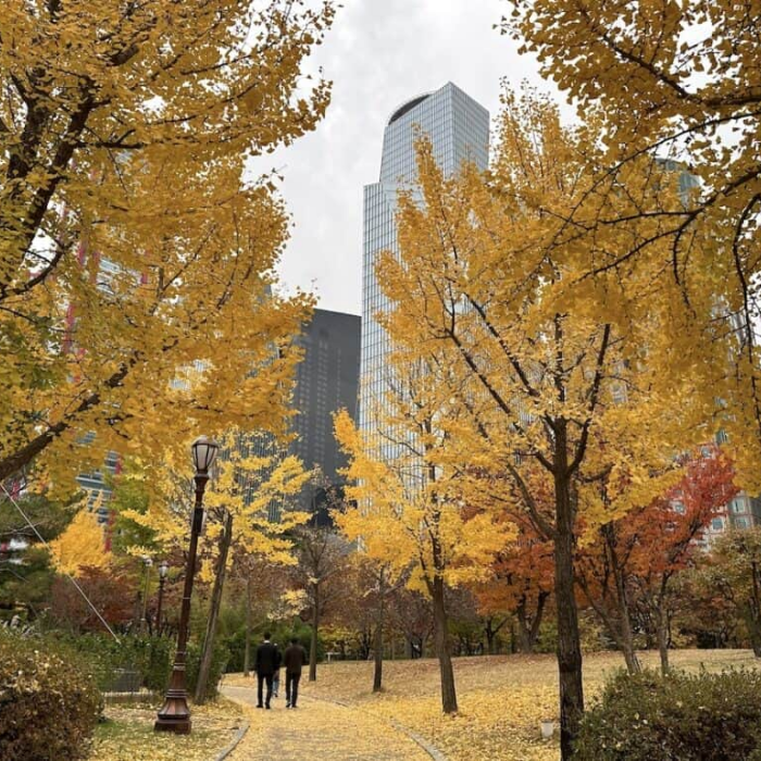 Công viên Yeouido Hangang