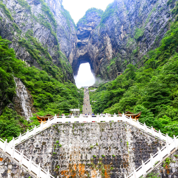 Nông trại Zhang Mei Ama