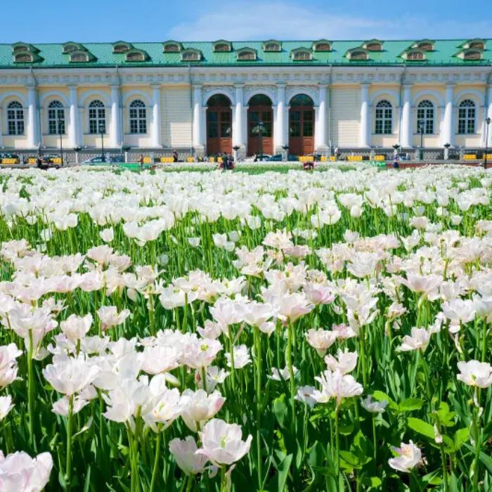 Vườn Alexandrovsky