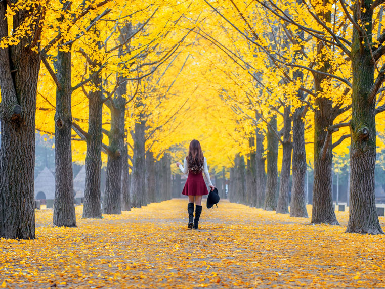 15 địa điểm ngắm lá đỏ mùa thu tuyệt vời nhất ở Seoul