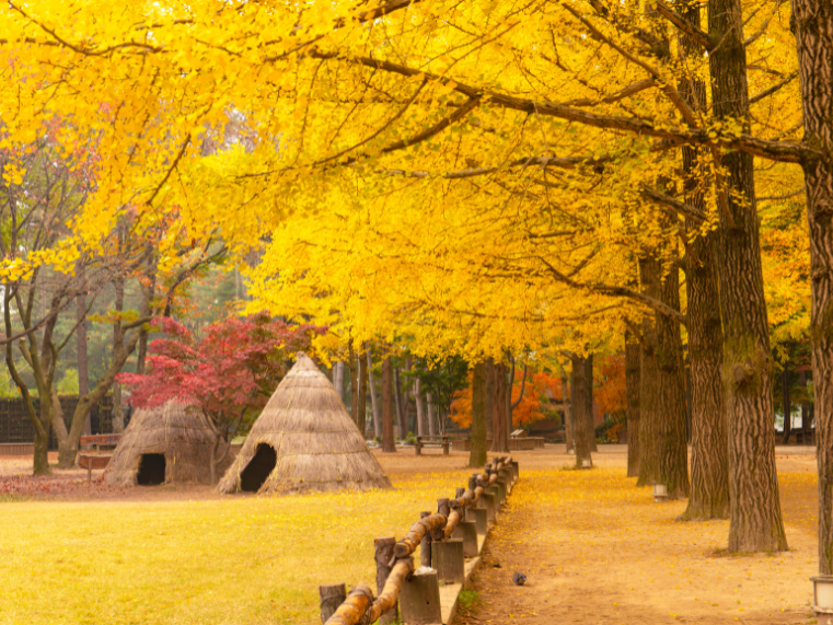 TOUR DU LỊCH MÙA THU HÀN QUỐC SEOUL – JEJU