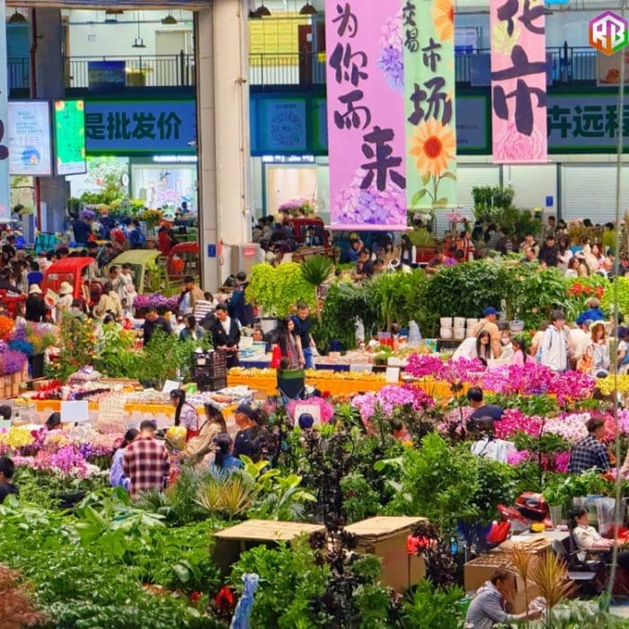 Chợ Hoa Đẩu Nam – Ngàn Hoa Đua Nở, Xứ Sở Thần Tiên