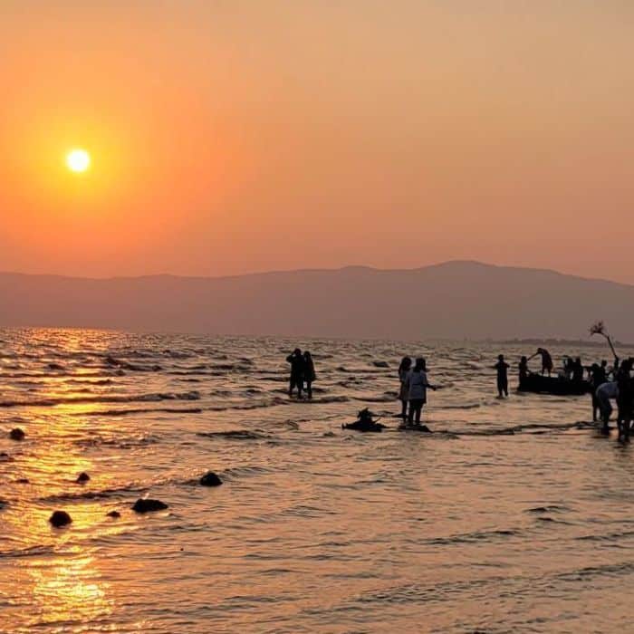 Công viên Rừng Tây Sơn