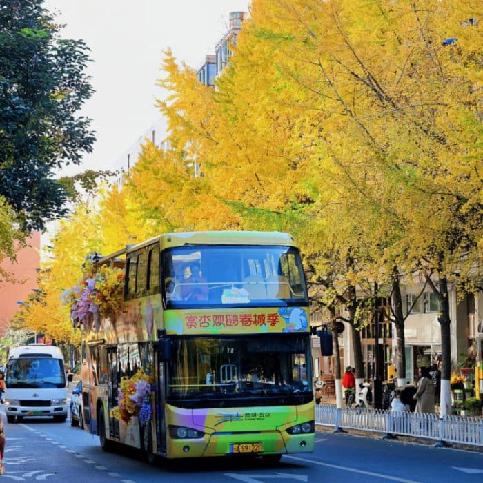 Phố Văn Lâm – Nơi Hội Tụ Văn Hóa và Ẩm Thực