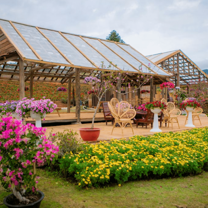 Thưởng thức trà chiều Anh quốc + bánh ngọt tại nhà kính