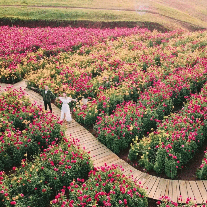 The Florest – Hoa Trong Rừng có nhiều góc để tha hồ "sống ảo"