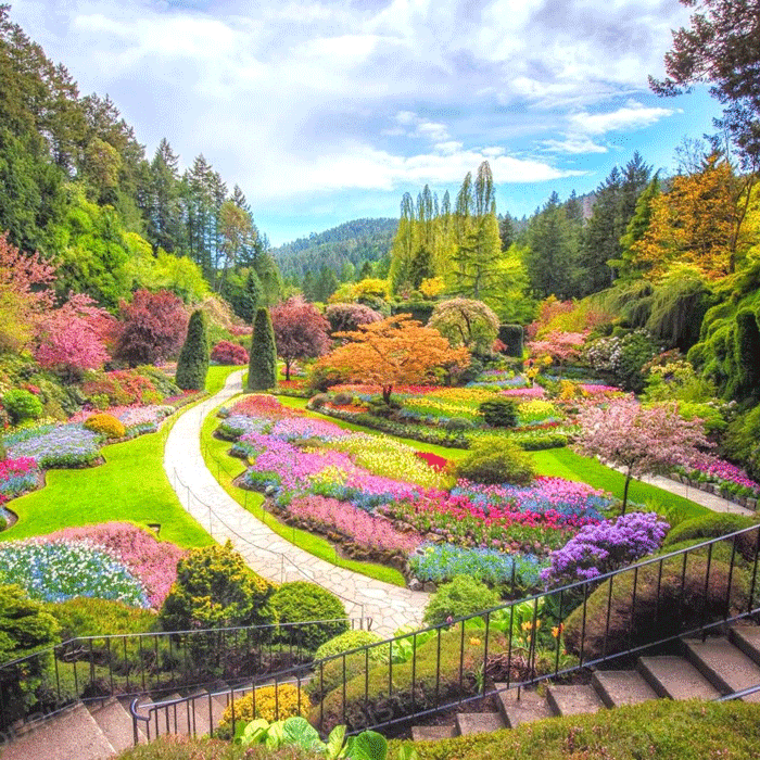 Vườn hoa Butchart