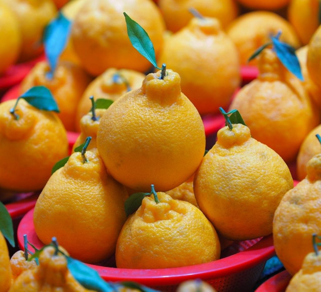 Ăn quýt Hallabong Jeju hoặc uống nước ép quýt