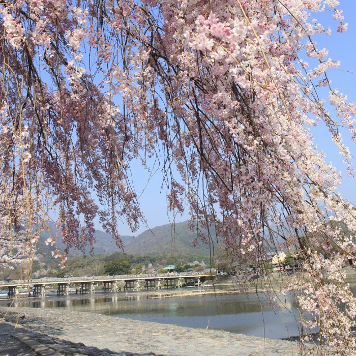 Arashiyama