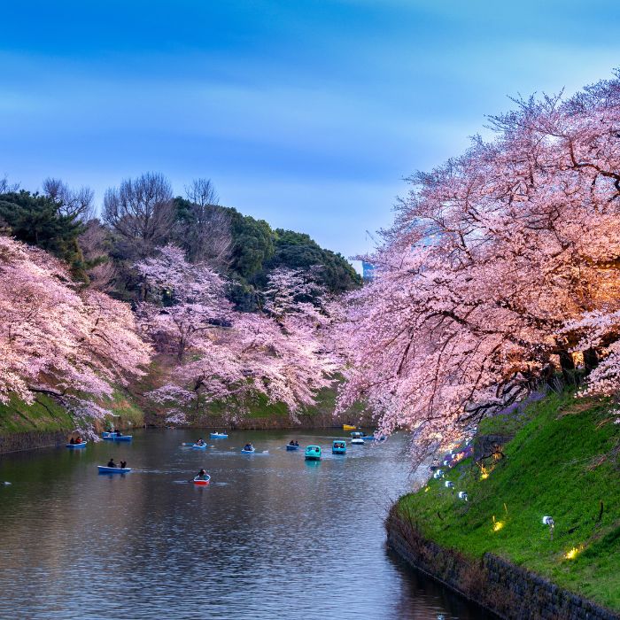 Chidorigafuchi