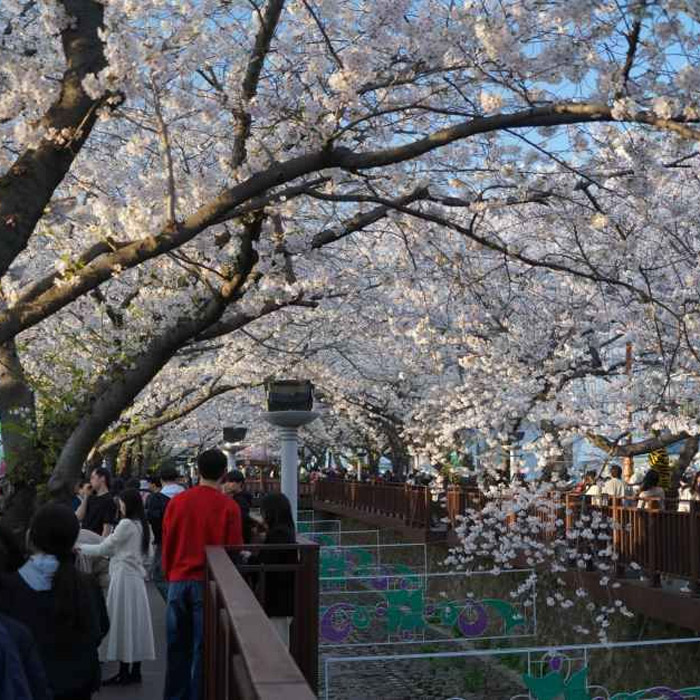 Jinhae Gunhangje