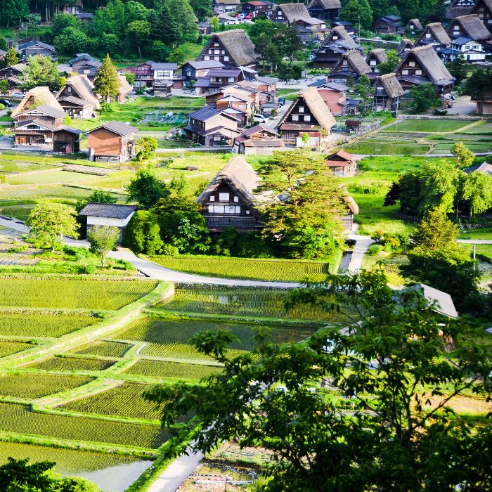 Shirakawago vào mùa hè