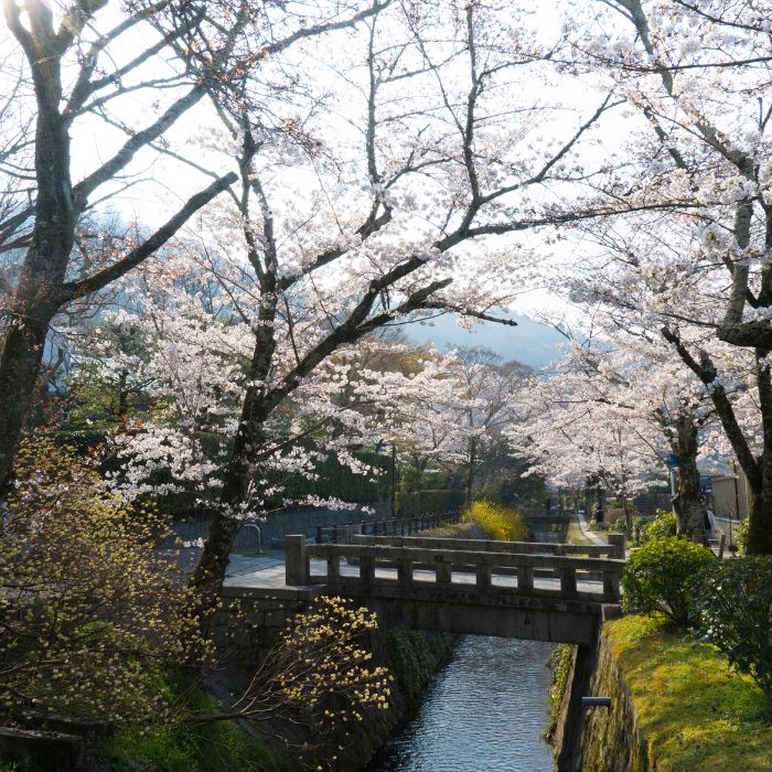 Tetsugaku-no-michi