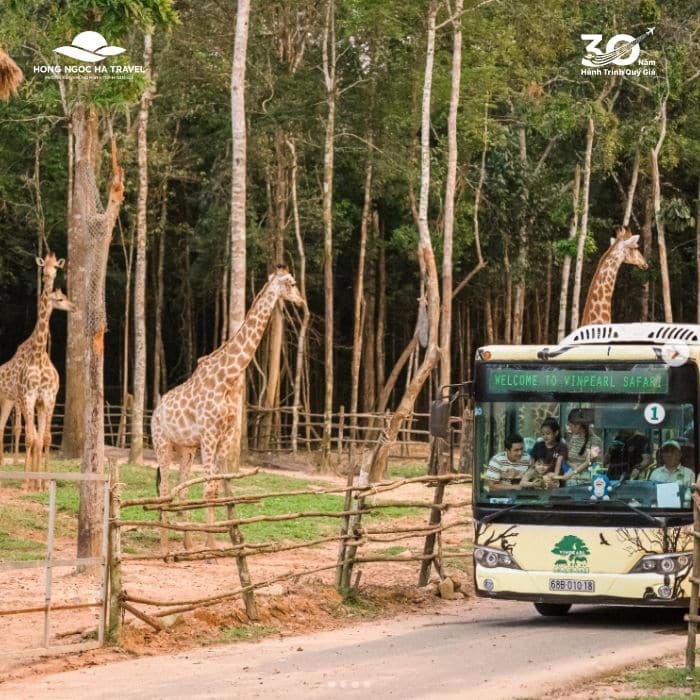 Vinpearl Safari Phú Quốc