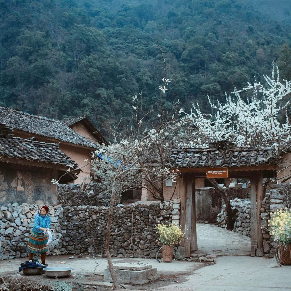 Nhà của Pao