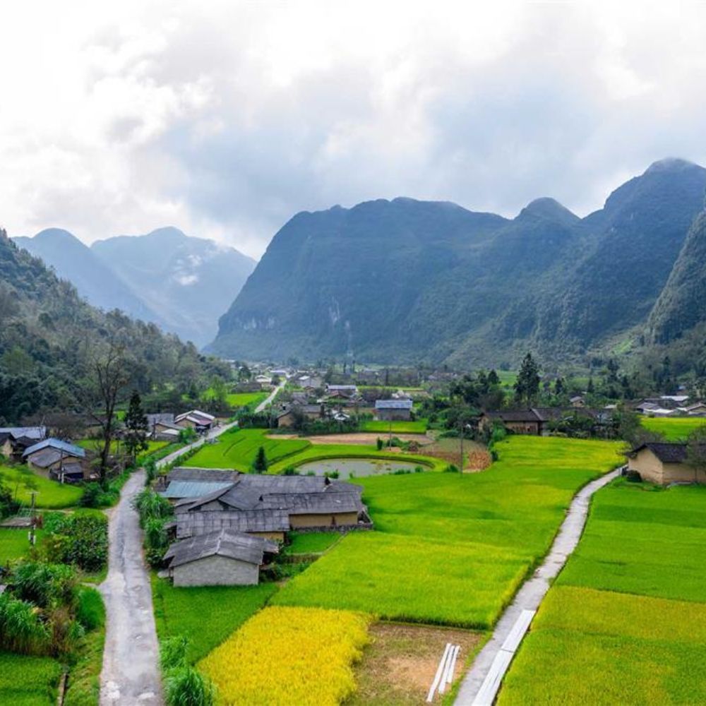 Phố Cáo