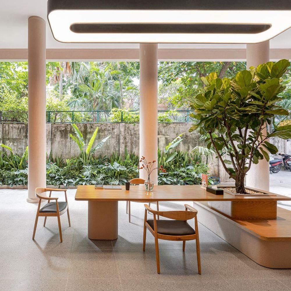 Không gian Co-working hiện đại