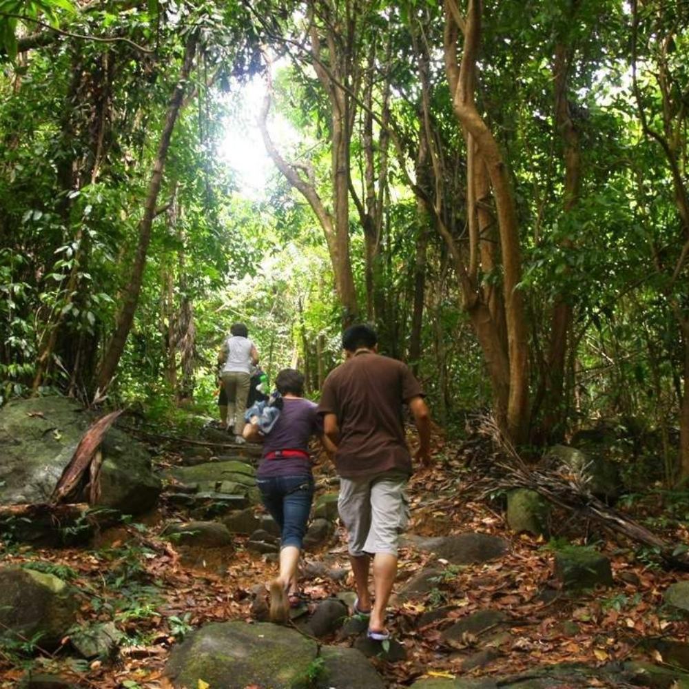 Trekking rừng nguyên sinh Ông Đụng