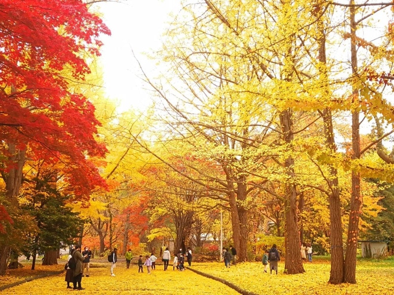 Đại học Hokkaido